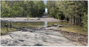 Picture of a portion of the Barren River Lake